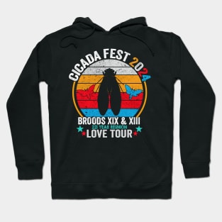 Vintage Cicada Fest 2024 Tsunami Phenomenon Brood XIX Brood XIII Year Of The Cicada 2024 Hoodie